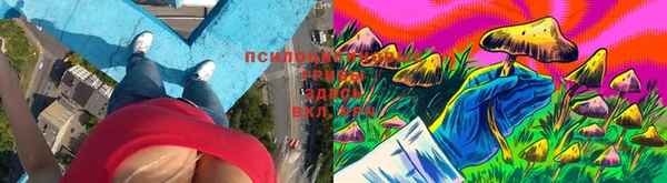 кокаин Арсеньев