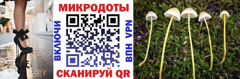 Псилоцибиновые грибы ЛСД Константиновск